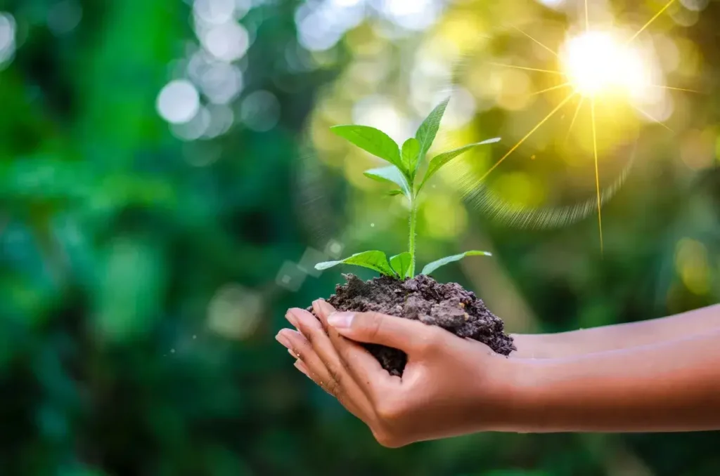 man holding a plant in this hands