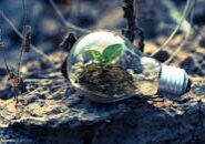 pexels-photo-1108572 This <a href="https://www.pexels.com/photo/clear-light-bulb-planter-on-gray-rock-1108572/">Photo</a> was taken by <a href="https://www.pexels.com/@singkham-178541">Singkham</a> on Pexels.