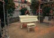pexels-photo-31093195 This <a href="https://www.pexels.com/photo/elegant-white-grand-piano-in-floral-conservatory-31093195/">Photo</a> was taken by <a href="https://www.pexels.com/@pluyar">Shane Aldendorff</a> on Pexels.