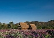 This <a href="https://www.pexels.com/photo/scenic-thai-thatched-roof-huts-in-blooming-field-31318024/">Photo</a> was taken by <a href="https://www.pexels.com/@optical-chemist-340351297">Optical Chemist</a> on Pexels.
