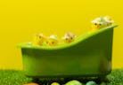 pexels-photo-31379902 This <a href="https://www.pexels.com/photo/cute-easter-chick-decorations-in-bathtub-31379902/">Photo</a> was taken by <a href="https://www.pexels.com/@angela-petrosyan-2149425377">Angela Petrosyan</a> on Pexels.
