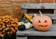 pexels-photo-5422739 This <a href="https://www.pexels.com/photo/jack-o-lantern-on-a-wooden-bench-5422739/">Photo</a> was taken by <a href="https://www.pexels.com/@karolina-grabowska">Photo By: Kaboompics.com</a> on Pexels.