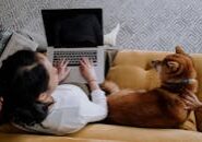 pexels-photo-5998695 This <a href="https://www.pexels.com/photo/a-woman-using-her-laptop-while-sitting-on-the-couch-with-her-dog-5998695/">Photo</a> was taken by <a href="https://www.pexels.com/@cottonbro">cottonbro studio</a> on Pexels.