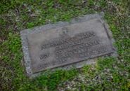 This <a href="https://www.pexels.com/photo/gray-concrete-tomb-stone-with-quote-6841261/">Photo</a> was taken by <a href="https://www.pexels.com/@rdne">RDNE Stock project</a> on Pexels.